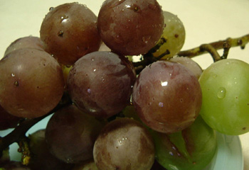 c0069036_21323581.jpg