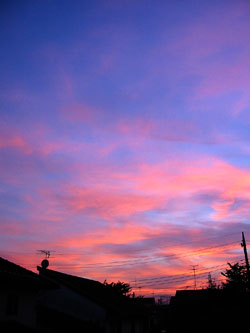 d0052342_23594047.jpg
