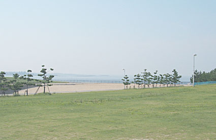 d0025545_22182430.jpg