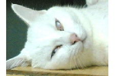 c0011446_22123790.jpg