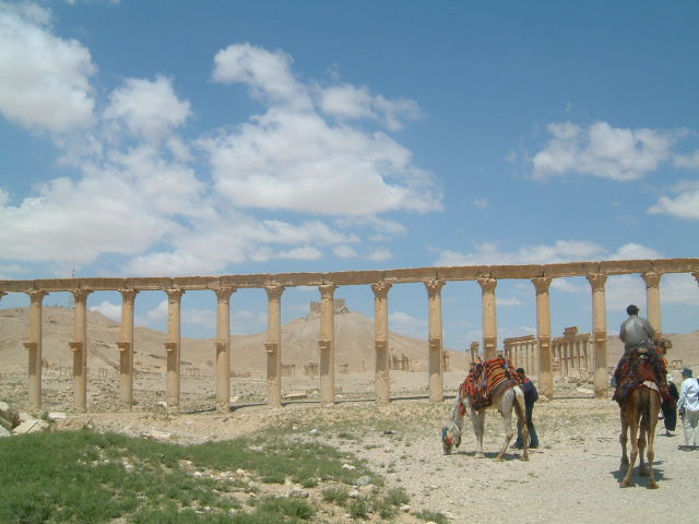 c0011649_1355961.jpg