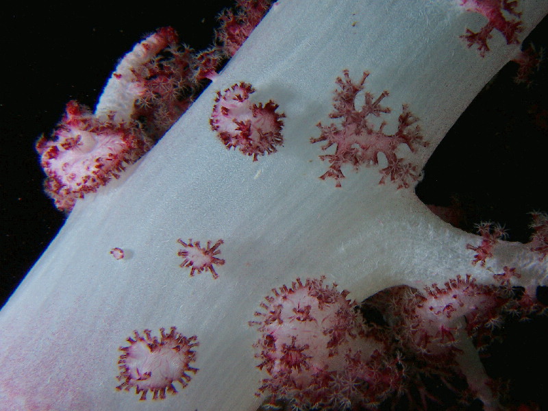 d0021952_721292.jpg