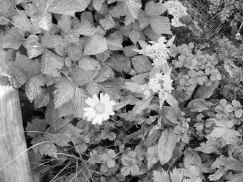 c0072379_224170.jpg