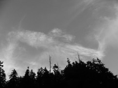 c0072379_2242496.jpg
