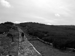 c0072379_2242629.jpg