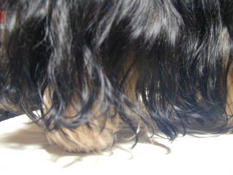 c0031582_8181984.jpg
