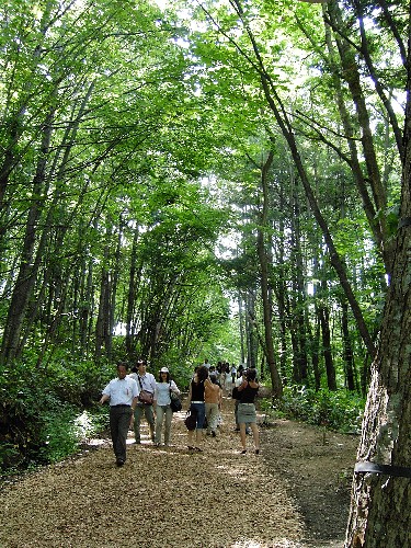 e0029582_1819268.jpg