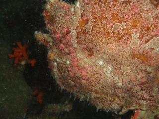 e0064291_1721942.jpg