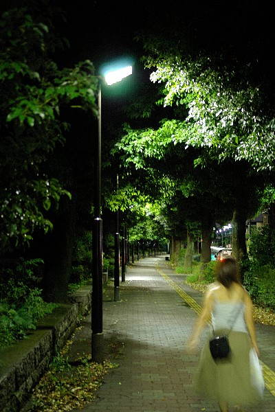 a0030792_353641.jpg