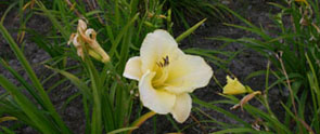 e0054299_3114438.jpg