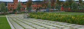 e0054299_3552.jpg
