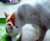 c0067015_035224.jpg