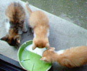 c0067015_0353545.jpg