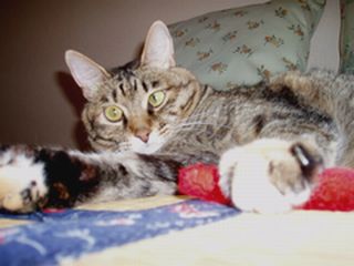 a0027720_1931719.jpg