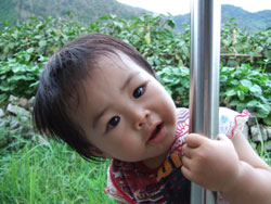 b0056924_12365850.jpg