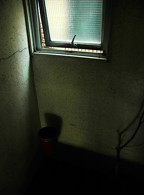 c0066827_13431673.jpg