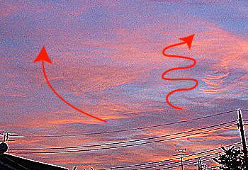 d0052342_023282.jpg