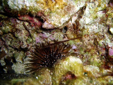 d0065247_22514927.jpg