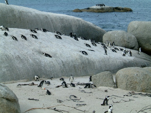 c0011649_1261146.jpg
