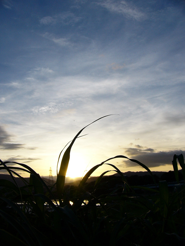 a0024250_43858.jpg
