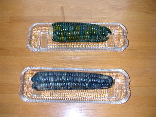 e0004756_2072958.jpg