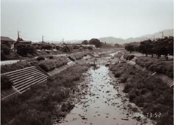 e0066861_32594.jpg