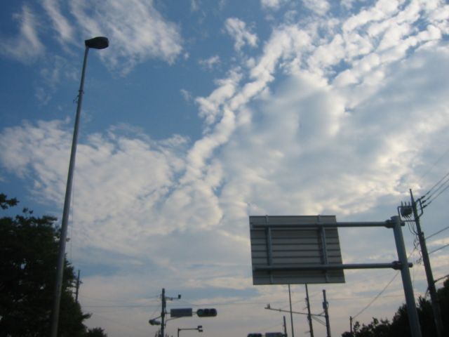 b0027267_1134181.jpg