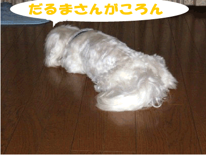 b0060071_14283330.gif