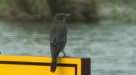 c0047906_2131613.jpg