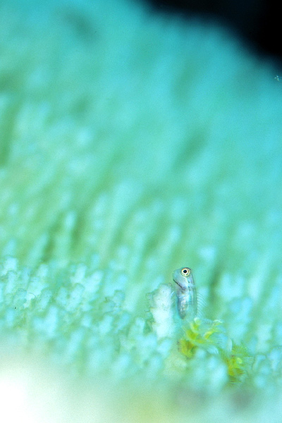 c0064907_1201045.jpg