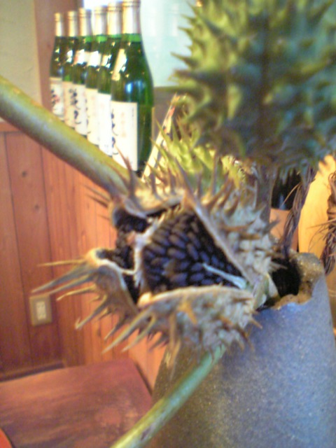 d0000607_18101250.jpg