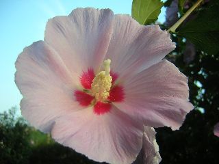 b0053414_06211.jpg