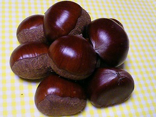 e0026017_23461828.jpg