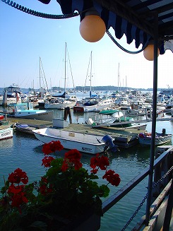 c0027939_964991.jpg