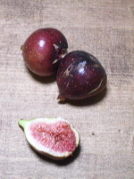 e0040041_215429.jpg