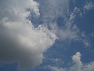 a0030248_2116319.jpg