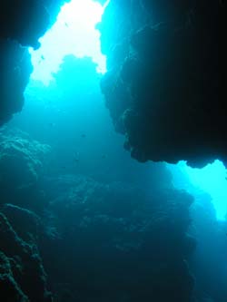 b0062363_2010325.jpg