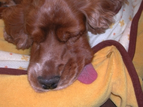 c0072871_23281334.jpg