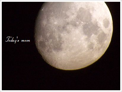 b0056172_21263757.jpg