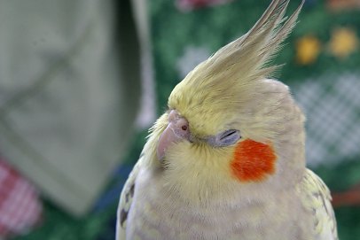 e0032775_13233089.jpg