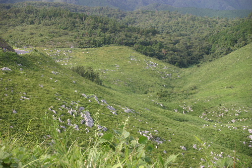 e0018678_231268.jpg