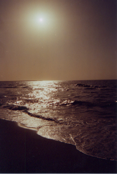 d0013887_213875.jpg