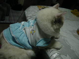 c0024410_21181086.jpg