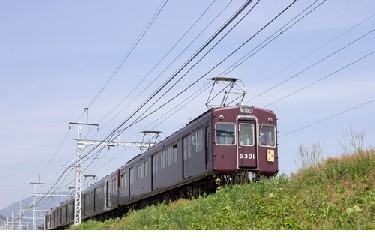 e0038719_435487.jpg