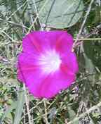 d0000820_148546.jpg