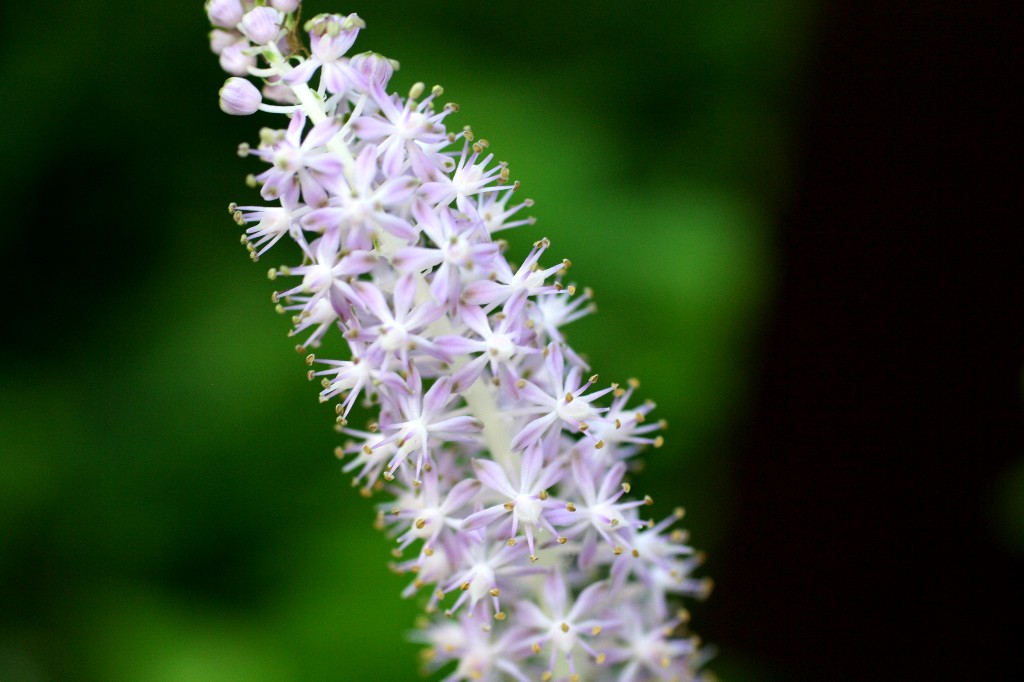 a0004023_645830.jpg