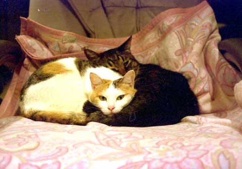 c0068424_2162655.jpg