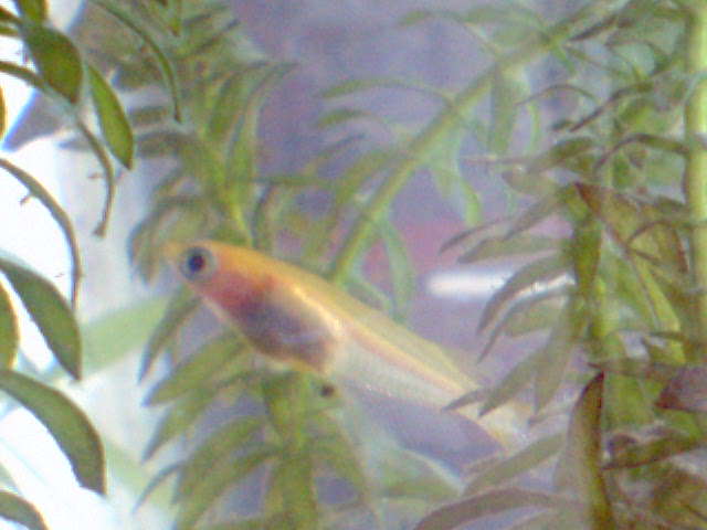 d0048332_1252040.jpg
