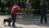 e0068836_13301813.jpg