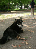 e0068836_15492779.jpg